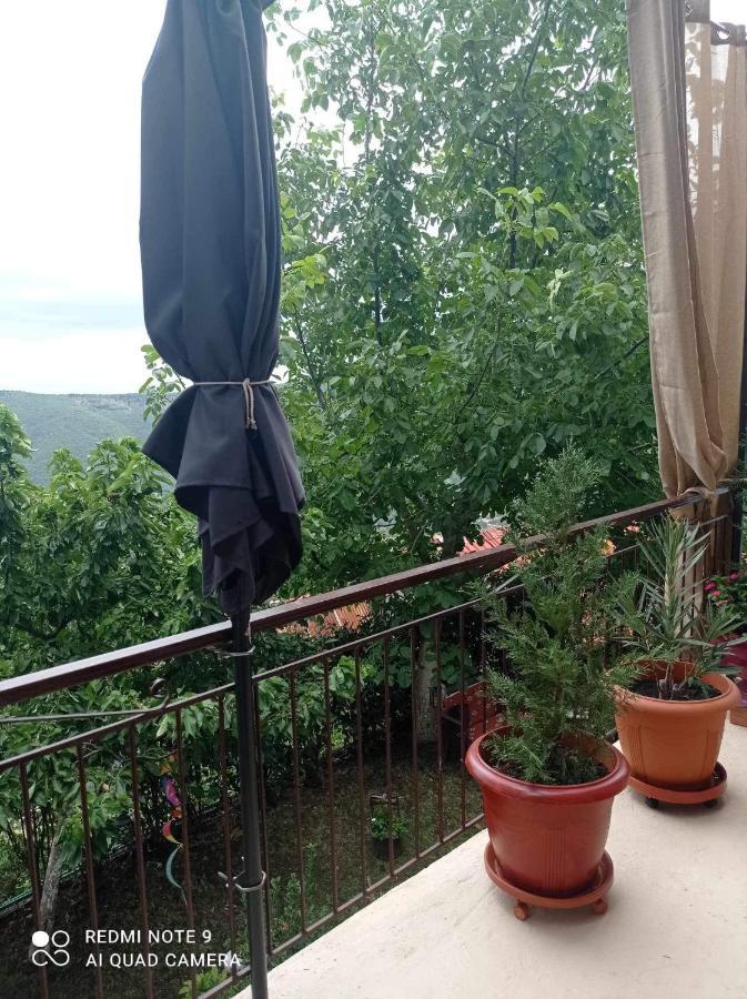 Timfristos Άγρια Λούλουδα Κατοικία Αρμονία מראה חיצוני תמונה
