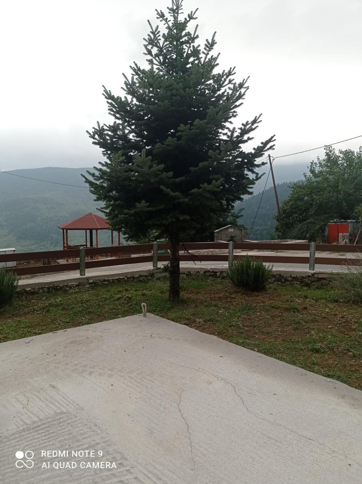 Timfristos Άγρια Λούλουδα Κατοικία Αρμονία מראה חיצוני תמונה